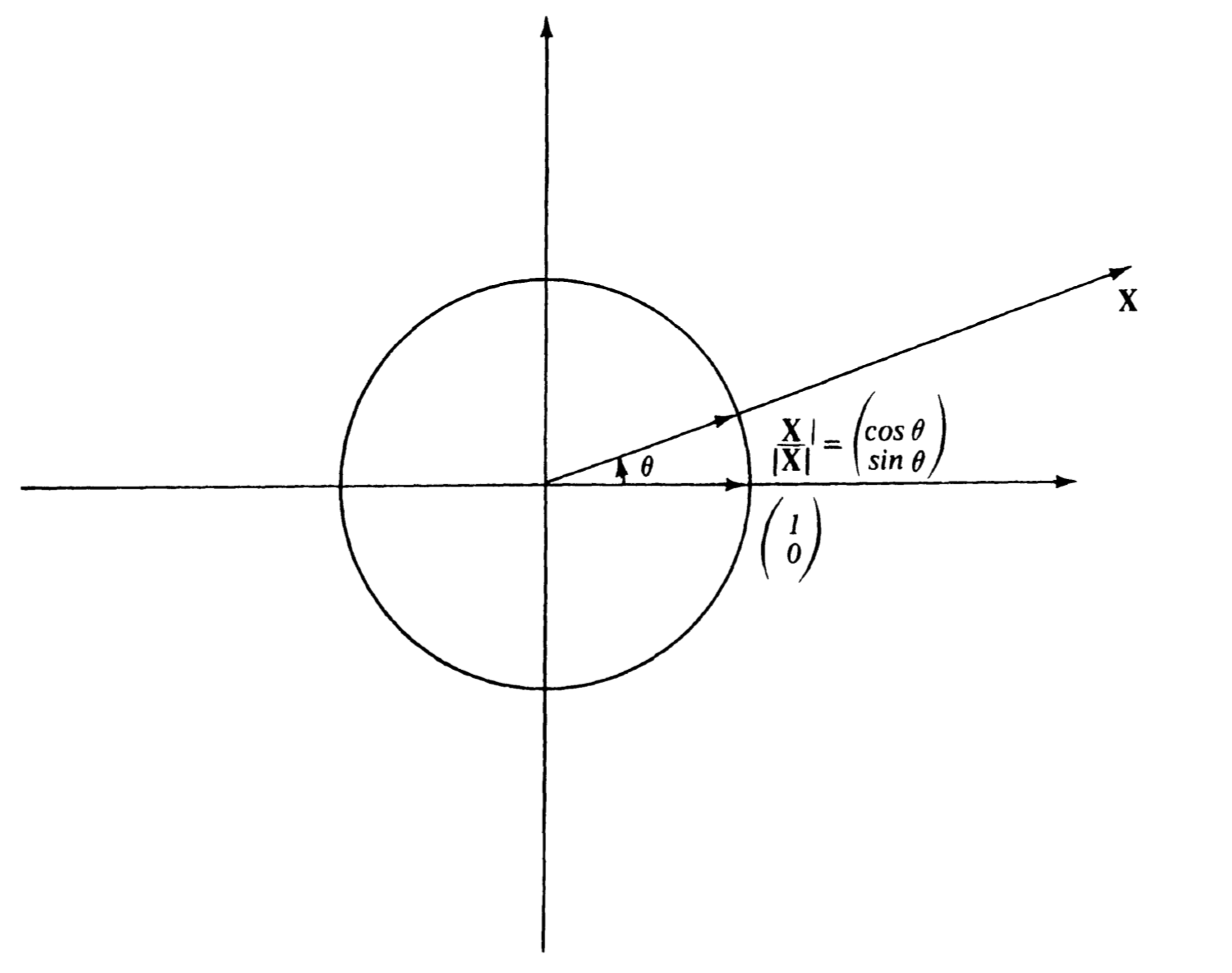 Polar form of a vector